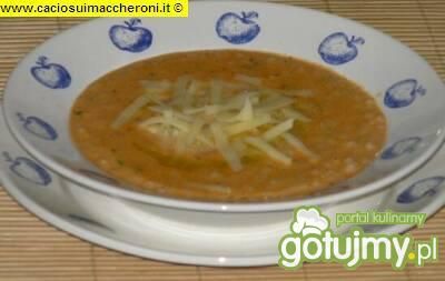 minestra-włoska zupa jarzynowa 