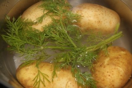 Nototenia i ziemniaki z ziołami