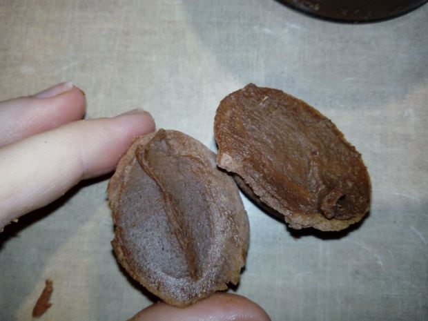Orzeszki czekoladowo - orzechowe