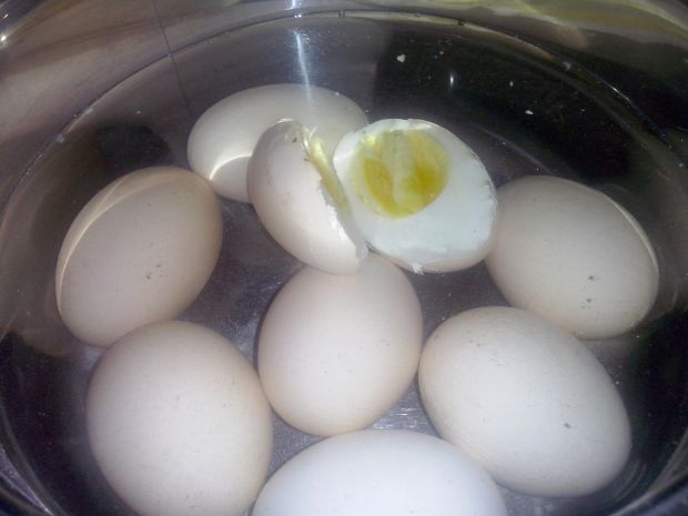 Pasta jajeczna z ricottą