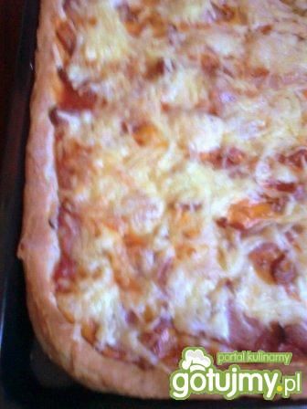 Pizza z szynką i serem o posmaku oregano