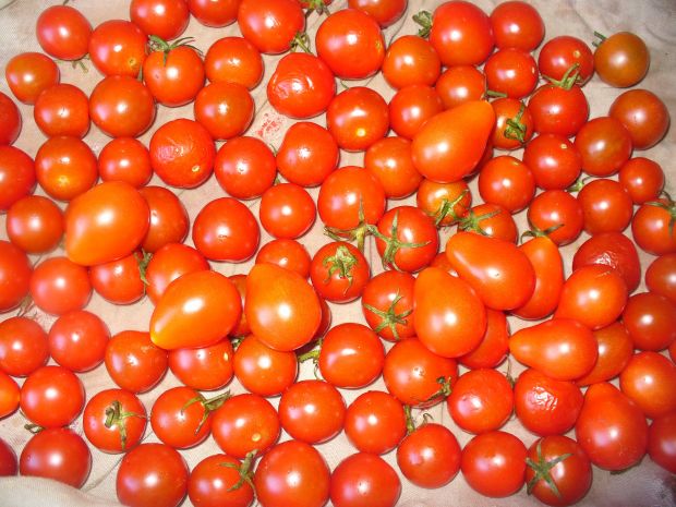 Pomidorki koktajlowe w  zalewie