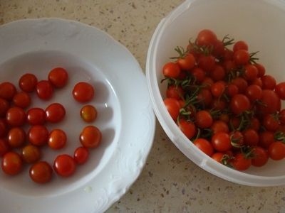 Pomidorki w cieście ziołowym
