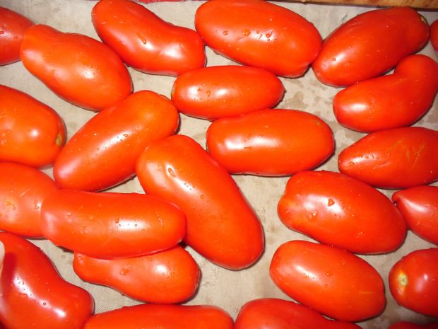 POmidory podłużne suszone