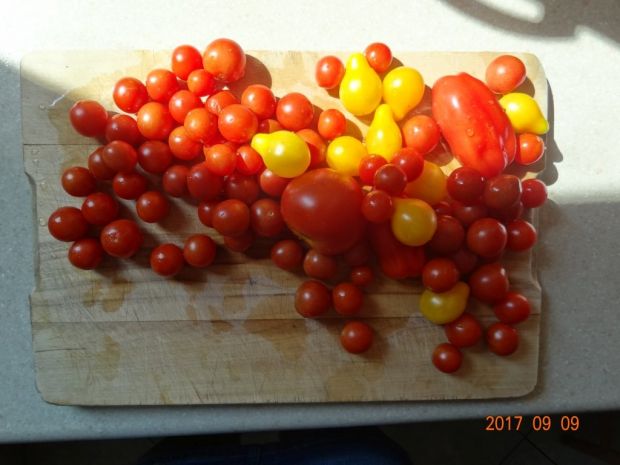 Przecier pomidorowy z czosnkiem