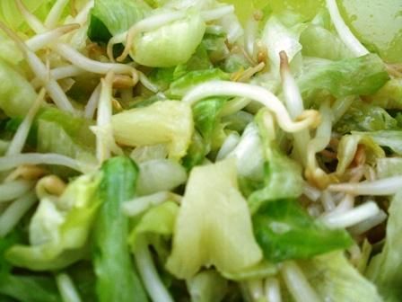 Salatka z kielkami