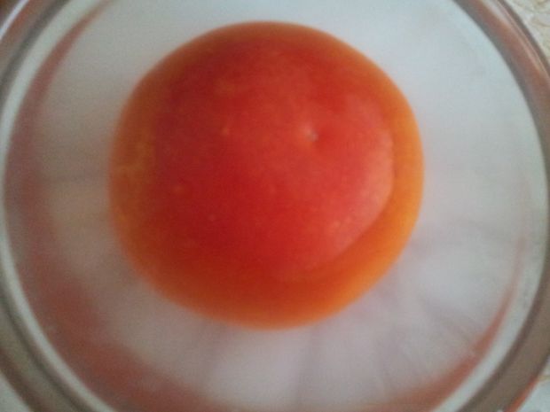 Surówka z pomidorów, ogórków i podagrycznika.