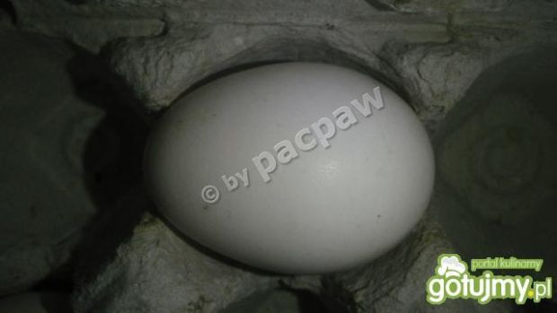 Syta jajecznica z jajek kur liliputek