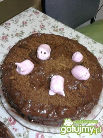 Tort Świnki