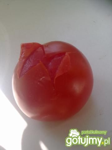 udko kurczaka z salsą pomidorową
