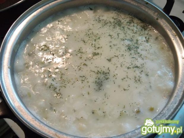 Zupa biało-zielona