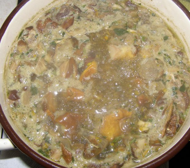 Zupa grzybowa