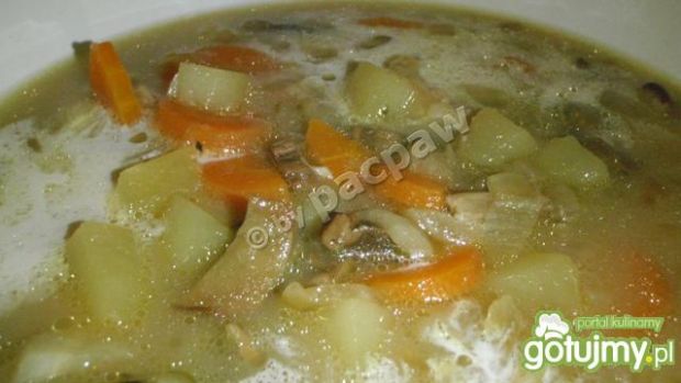 Zupa grzybowa z cebulką i warzywami