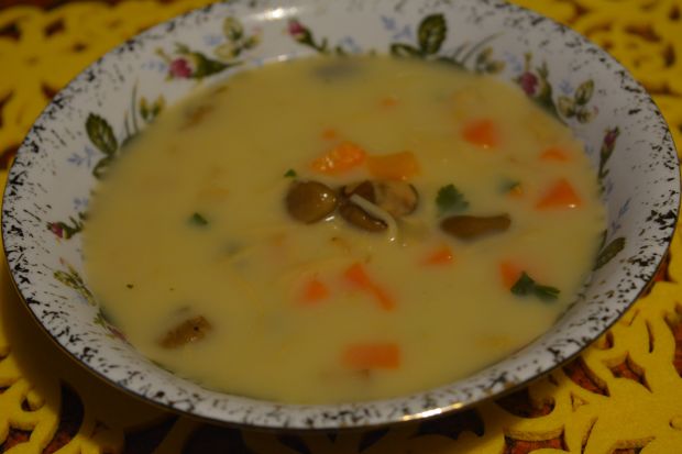 Zupa grzybowa z makaronem