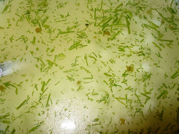 Zupa koperkowa  z ryżem na rosole