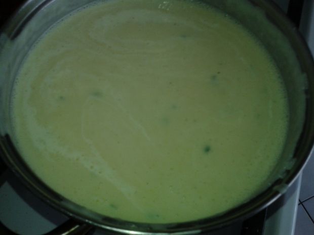 Zupa krem porowo - serowa
