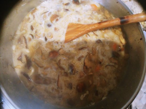 Zupa - krem z grzybów leśnych