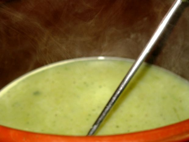 Zupa krem z zielonych i białych warzyw