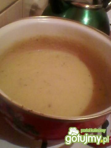 Zupa krem z ziemniaków