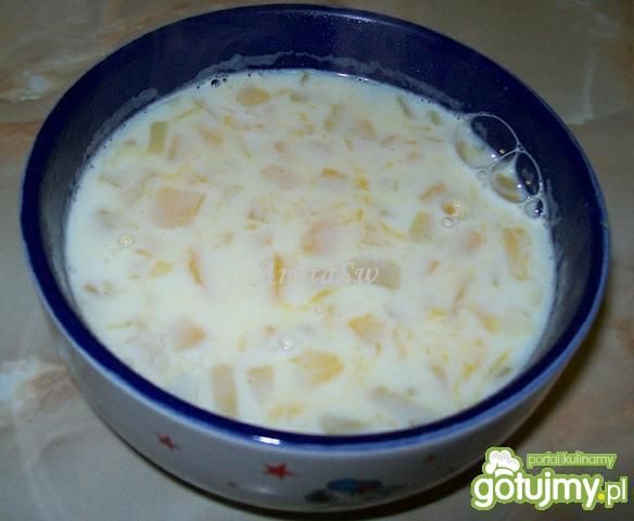 Zupa mleczna z dynią i makaronem
