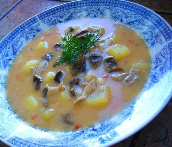 Zupa ogonowa z grzybami suszonymi