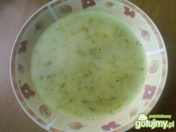 Zupa ogórkowa 16