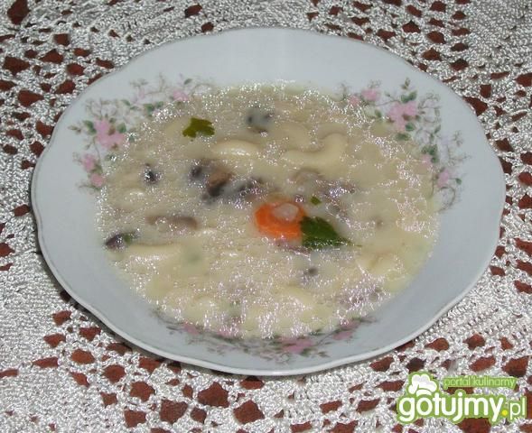 Zupa pieczarkowa z makaronem i cebulą