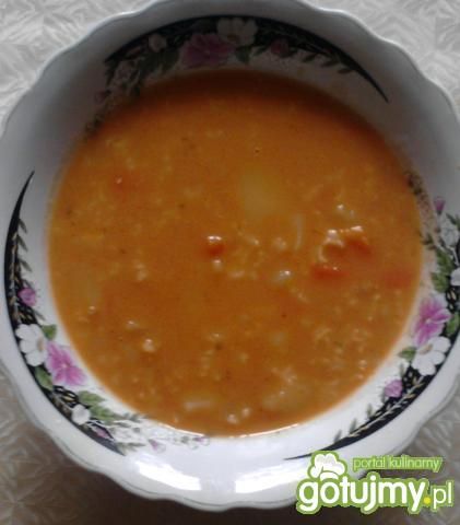 Zupa pomidorowa z ryżem(8)