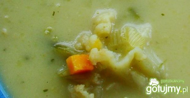 Zupa porowo-kalafiorowa 
