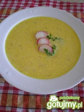 Zupa rzodkiewkowo-serowa