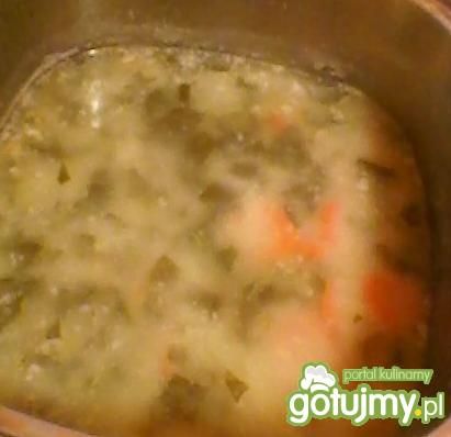 zupa szczawiowa wg justynak223