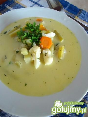 Zupa warzywna (jarzynowa)