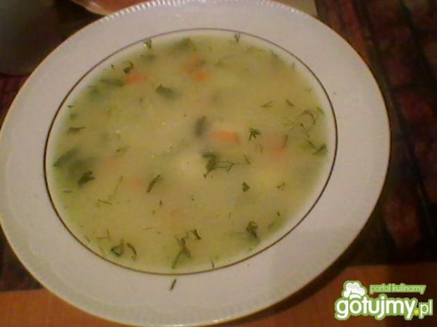 Zupa wiosenna z warzyw