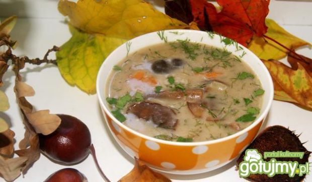 Zupa ze świeżych grzybów wg Buni