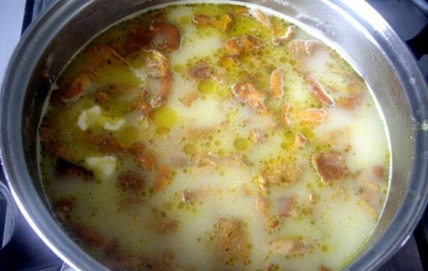 Kremowa zupa z kurek 4